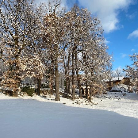 Cal Carol Apartment Vallcebre Exterior foto