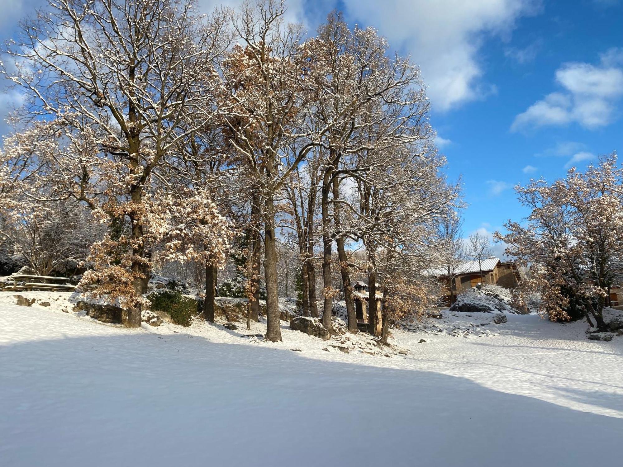Cal Carol Apartment Vallcebre Exterior foto